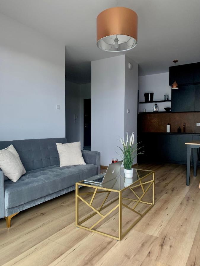 Apartament Drewnowska Przy Manufakturze Лодзь Экстерьер фото
